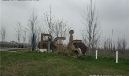 泥洼树兰最新爆料,揭开神秘植物背后的传奇故事